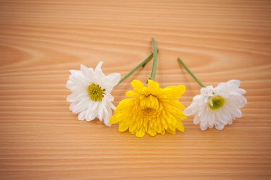 Aranjman Çiçek üzerinde boş alan arka plan ile ahşap