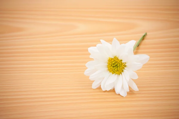 上のアレンジの花空スペースの背景を持つ木製 — ストック写真