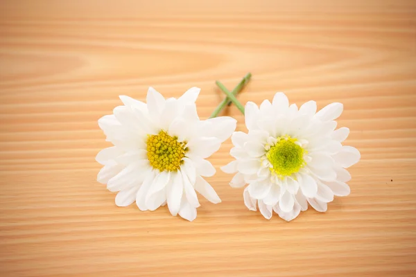 上のアレンジの花空スペースの背景を持つ木製 — ストック写真