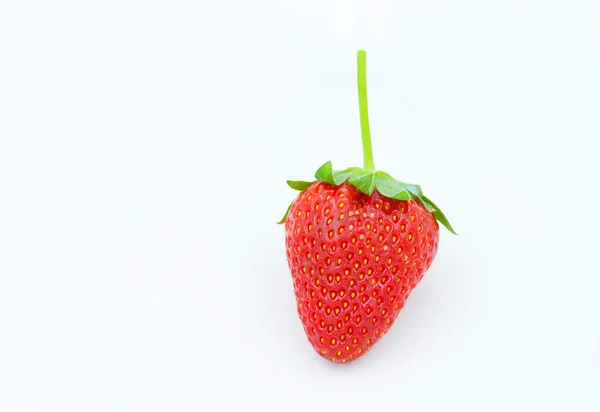 1 fraise isolée sur fond blanc . — Photo