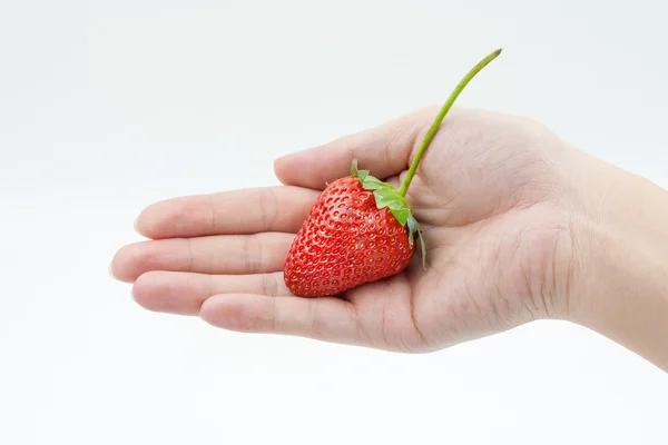 Fraise dans la main de la femme isolé sur fond blanc — Photo