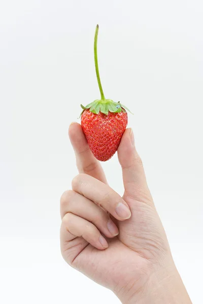 女性の手が白い背景で隔離のイチゴ — ストック写真