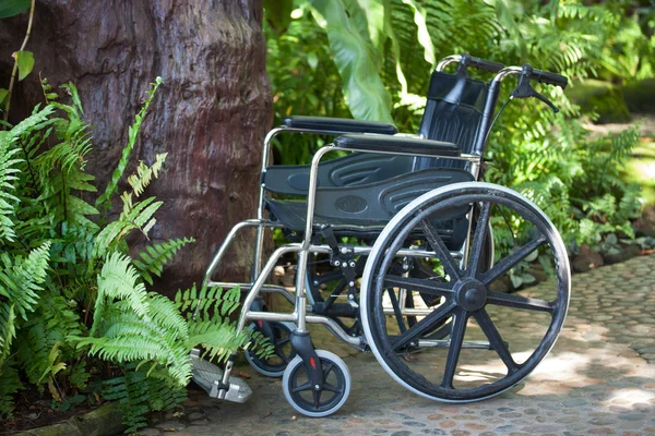 Doğada tekerlekli sandalye — Stok fotoğraf