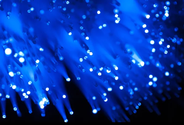 Fiber optic nätverkskabel — Stockfoto