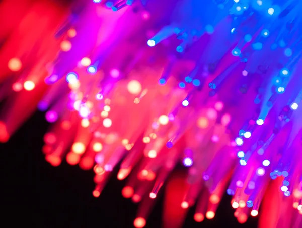 Fiber optic nätverkskabel — Stockfoto