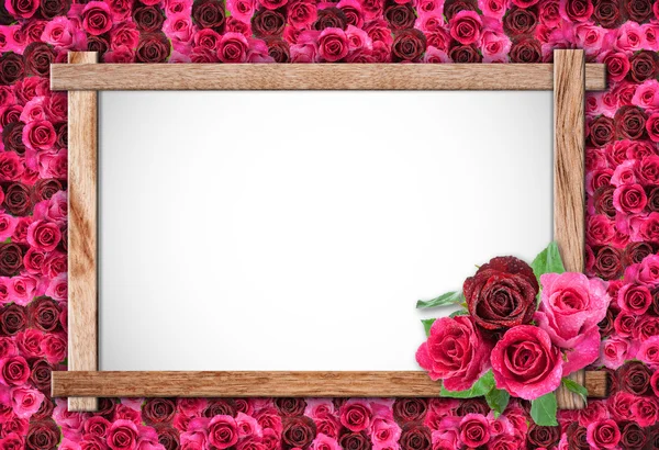 Group of Rose and wood frame — Stock Photo, Image