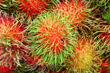 Rambutan meyve