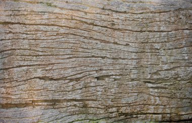 ahşap doku arkaplanı