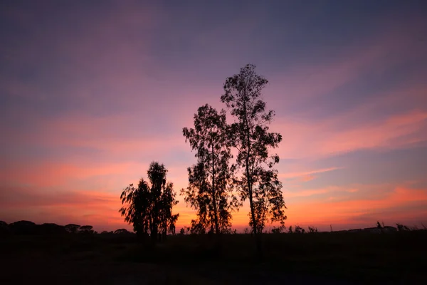 Siluett träd med färgglada moln himlen vid solnedgången. — Stockfoto