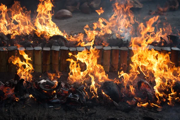 yakacak odun ve alev. Portre.