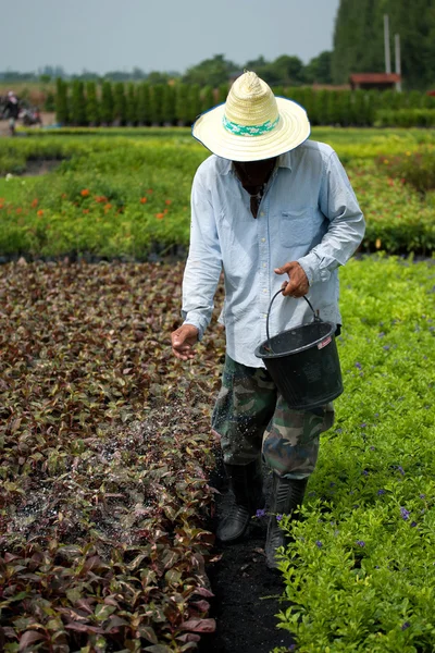 Agricultor que utiliza fertilizante — Foto de Stock