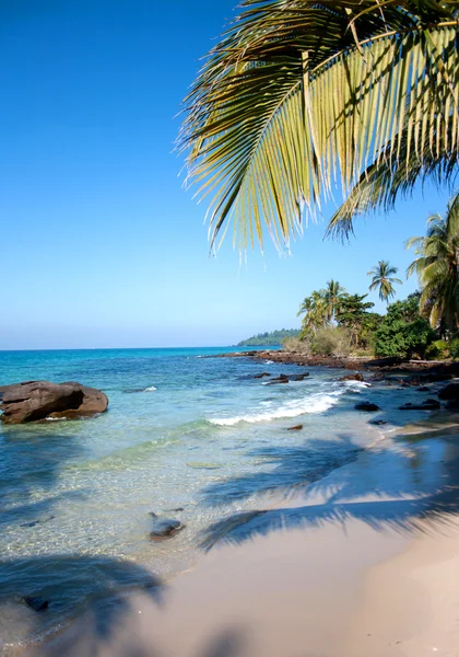 Tropischer Strand — Stockfoto