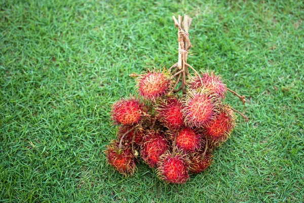 Rambutan fundo de frutas vermelhas — Fotografia de Stock
