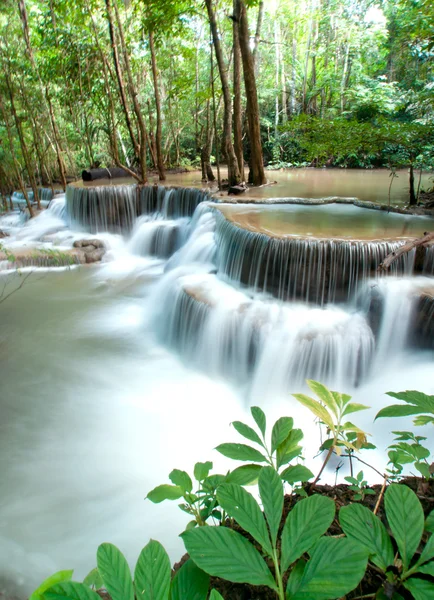 Cachoeira na floresta profunda — Fotografia de Stock