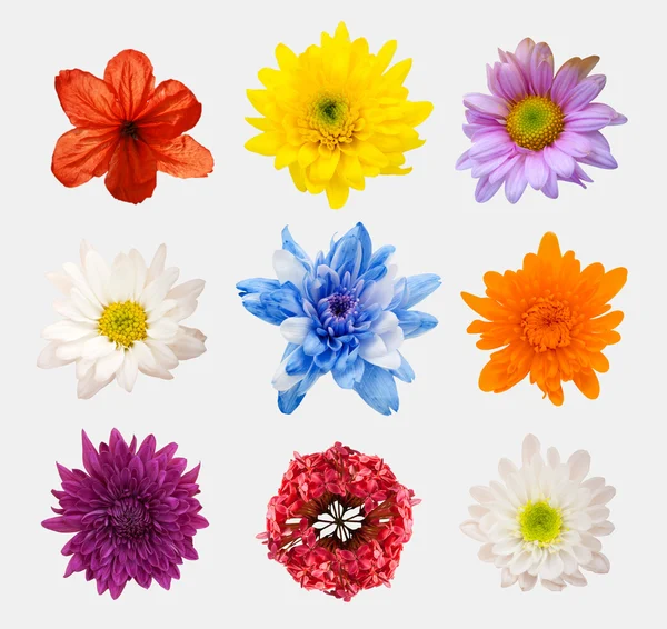 Arrangement flower on wooden with empty space background — Stock Photo, Image