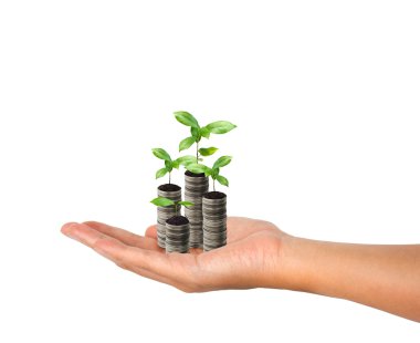 Gümüş sikke ve küçük bitki kavramı büyüme yığını