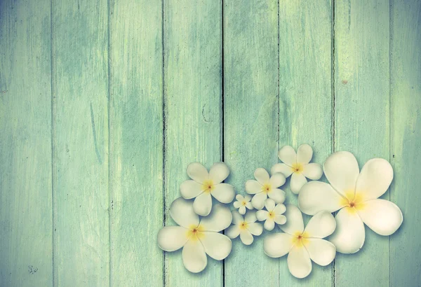 Plumeria branca flor no fundo de madeira — Fotografia de Stock