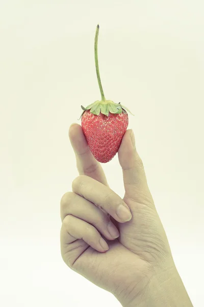 Fraise dans la main de la femme isolé sur fond blanc — Photo