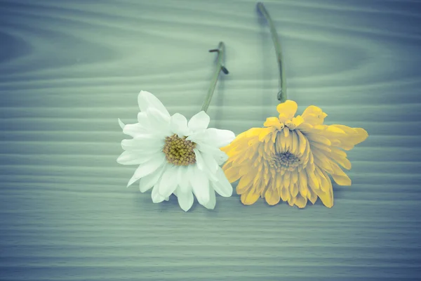 Arrangemanget blomma på trä med tomt utrymme bakgrund — Stockfoto
