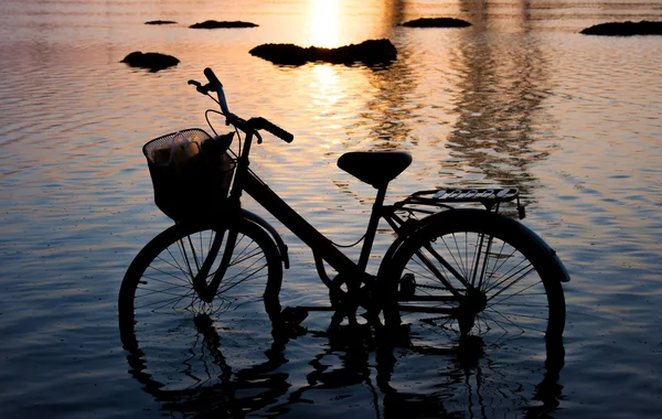 Silhouette bicicletta in piedi in acqua al tramonto . — Foto Stock