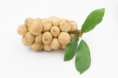 Longkong meyve ya da Lansium parasiticum beyaz tropikal meyve olduğunu