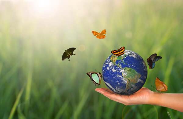 Blue Planet Earth on Hand