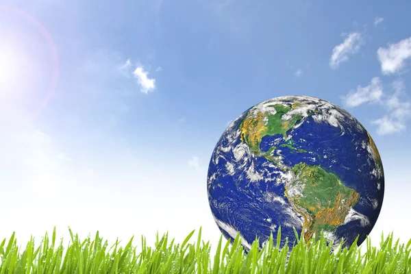 Планета Земля на прекрасной зеленой траве — стоковое фото