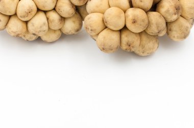 Longkong meyve ya da Lansium parasiticum beyaz tropikal meyve olduğunu