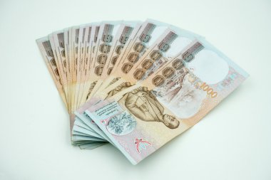 Beyaz Tay para yığını