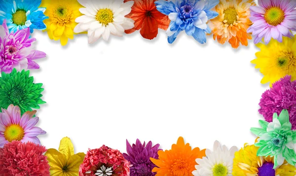Anordnung Blumenrahmen isoliert auf weißem Hintergrund — Stockfoto
