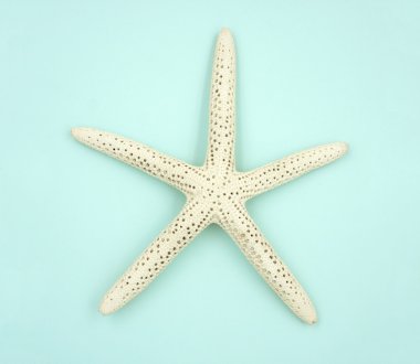 mavi bir arka plan üzerinde beyaz deniz yıldızı.