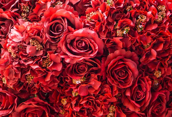 Många av röda rosor blommor bakgrund — Stockfoto