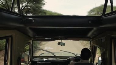 Safari truck is driving along the road. Inside the car