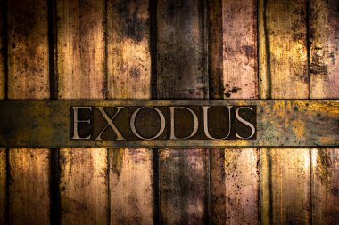 Vintage desenli grunge bronz arkaplan üzerine Exodus metin mesajı