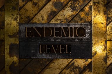 Endemic Level text message on textured grunge copper and vintage gold background clipart