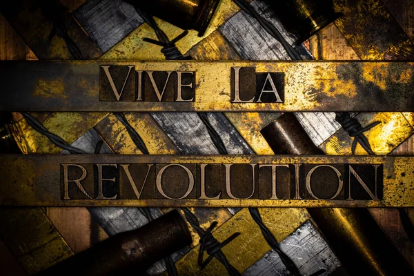Viva Texto Revolução Vive Revolution Com Arame Farpado Prata Grunge — Fotografia de Stock