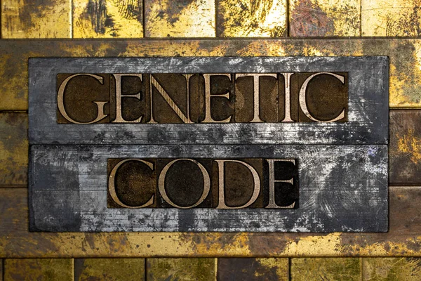 Genetikai Kódex Szöveg Vintage Texturált Grunge Réz Arany Steampunk Háttér — Stock Fotó