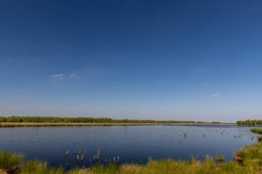 Hollanda turba arazisinde göl açık mavi gökyüzünün altında