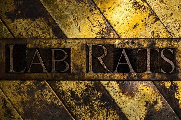 Lab Rats Texto Sobre Vintage Texturizado Grunge Cobre Ouro Fundo — Fotografia de Stock