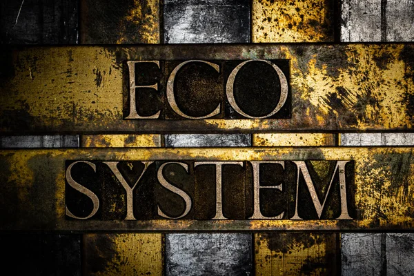Eco System Texto Sobre Vintage Texturizado Cobre Oro Fondo Fotos de stock