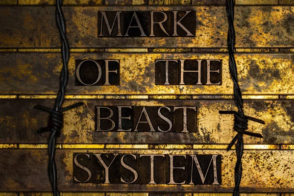 Mark of the Beast System text on textured grunge copper and vintage gold background