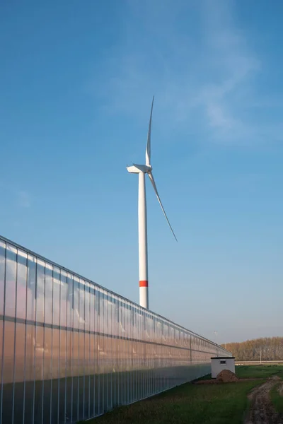 Vertical photo of a wind turbine next to a greenhouse