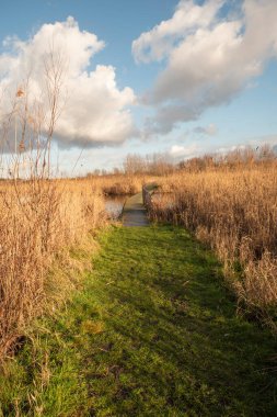 Kruibeke, Belçika 'daki bir gölette demir parmaklıklı ahşap köprü.