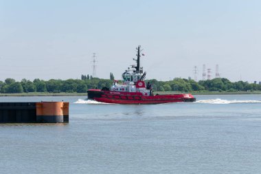 Doel, Belçika, 18 Mayıs 2020, de sd Shark adı verilen kırmızı römorkör gemisi 2008 'de yapıldı ve Belçika bayrağı altında denize açıldı.