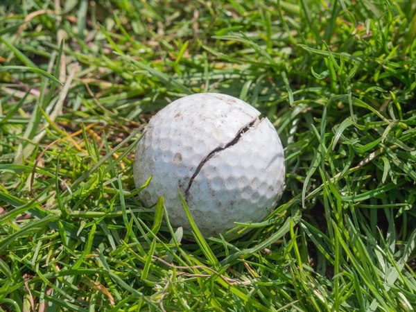 砕いたゴルフボールは背の高い緑の草の中にあります ロイヤリティフリーのストック写真