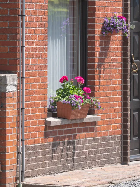 Planter Geraniums Windowsill House Flanders — Stok fotoğraf