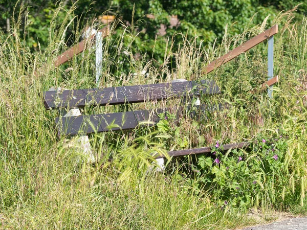 雑草で完全に生い茂った公園の木製のベンチ — ストック写真