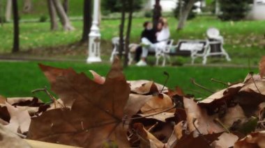 Sonbahar yaprakları yere dökülüyor ve bir çift parkta sohbet ediyor..