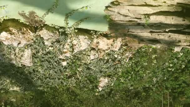 Rośliny Ściany Odbijające Się Powierzchni Basenu Letni Dzień Małe Krople — Wideo stockowe