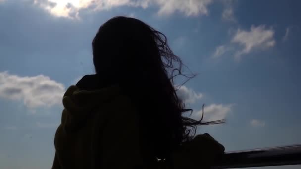 Capelli Della Giovane Donna Soffiano Nel Vento Silhouette Ragazza Capelli — Video Stock